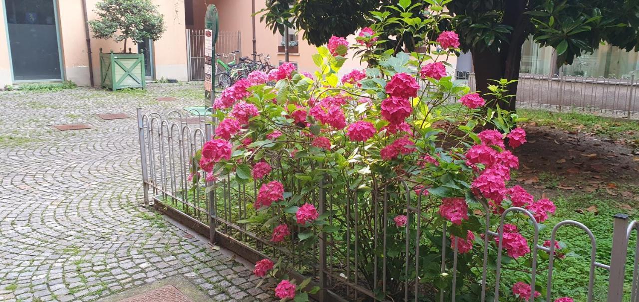 Central Loft Carina Ideale Per Visitare Il Centro Di Torino Dış mekan fotoğraf